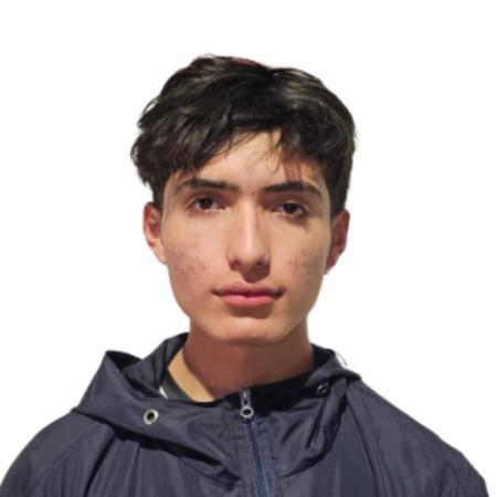 User Image