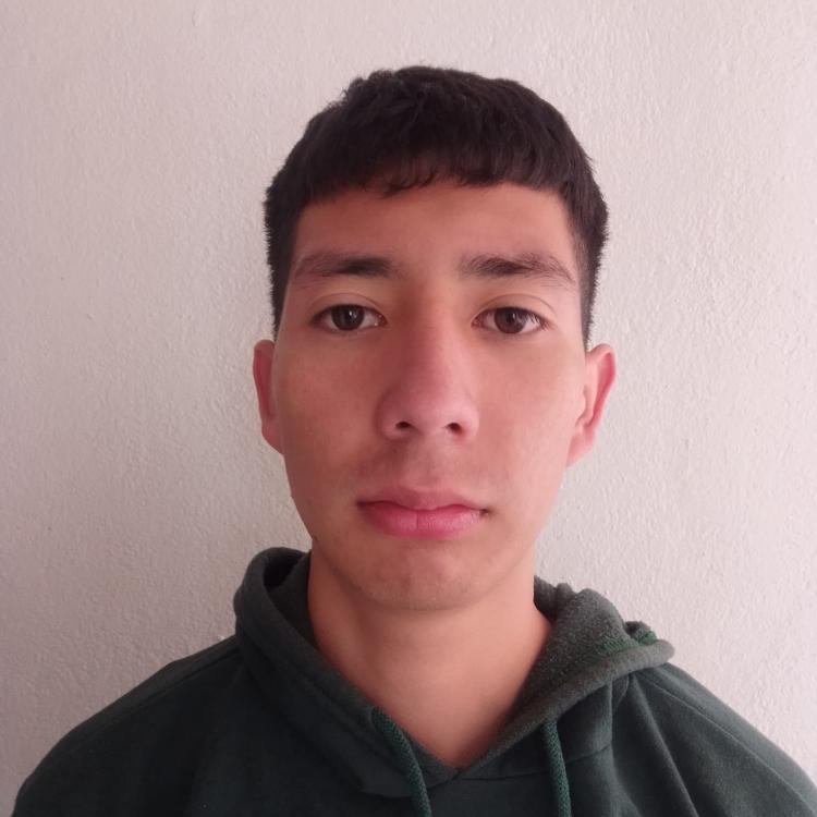User Image