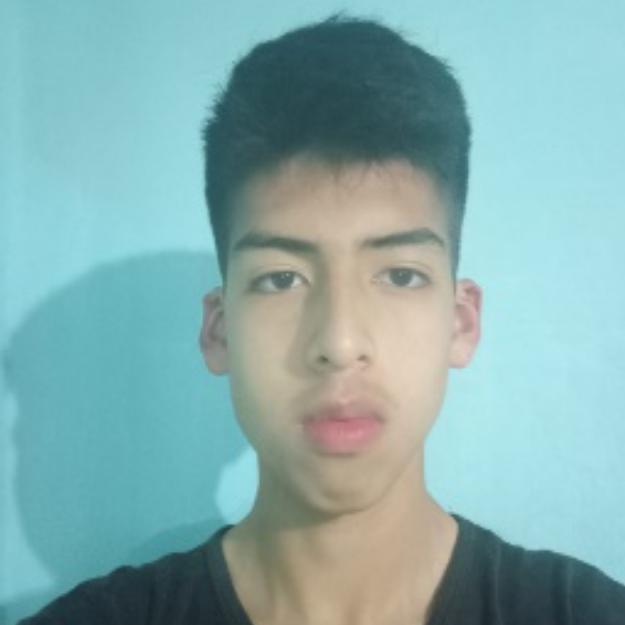 User Image