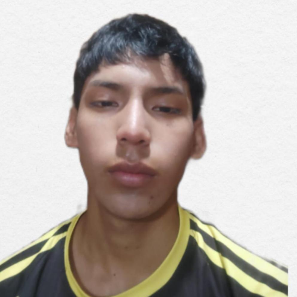 User Image