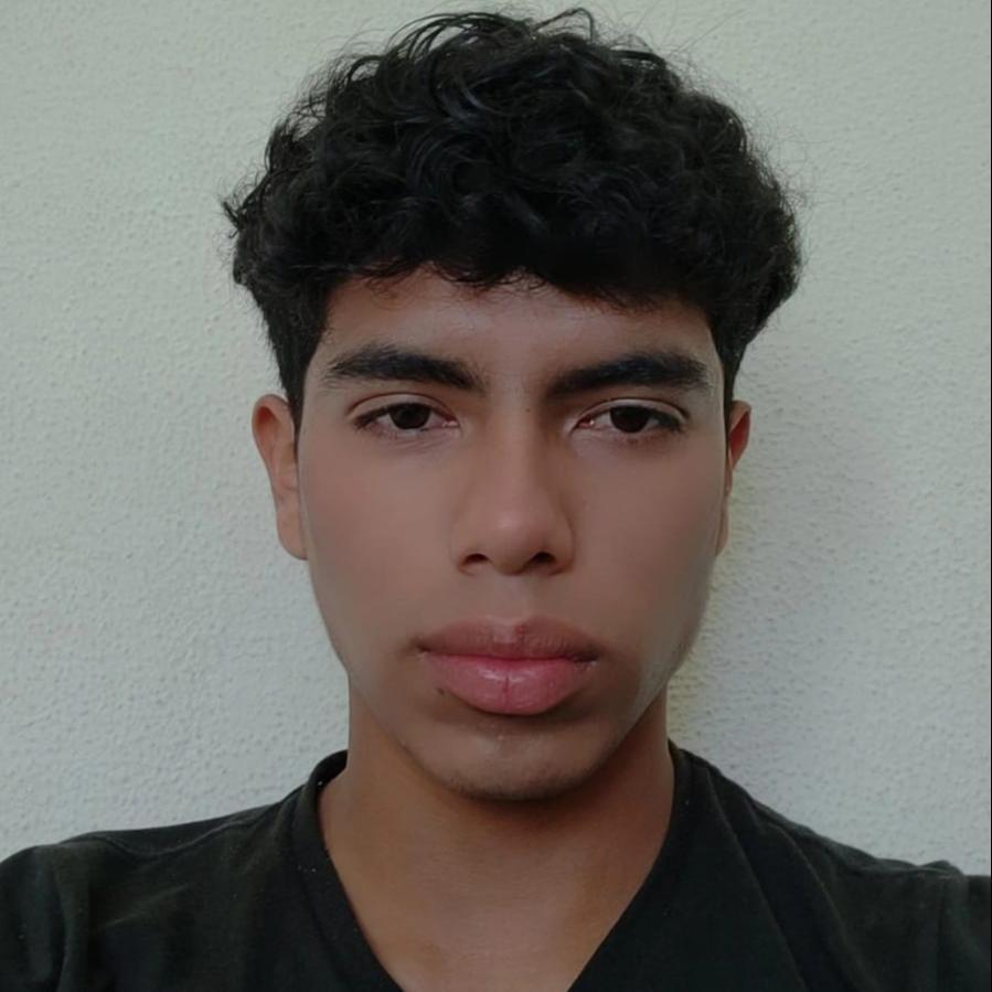 User Image