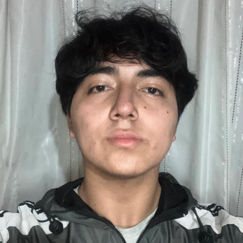 User Image