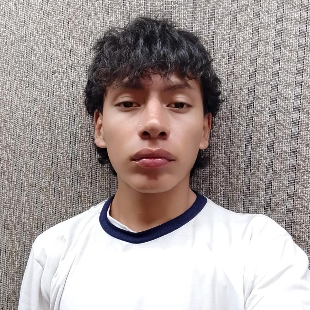 User Image